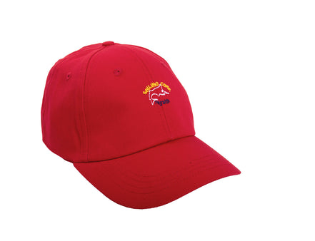 Cap 2002